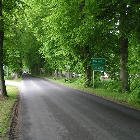 Wantaris - Domki Letniskowe Z Ogrodkiem Mielno-Mielenko Großmöllen Exterior foto
